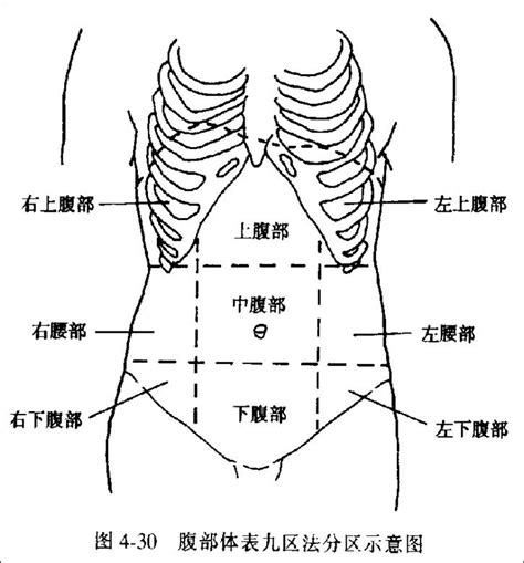 上腹部大